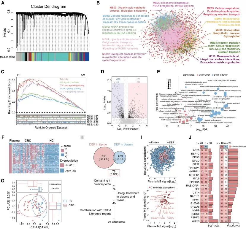 Integration of tissue EV and plasma EV proteomics for colorectal cancer biomarker discovery using DIA-MS